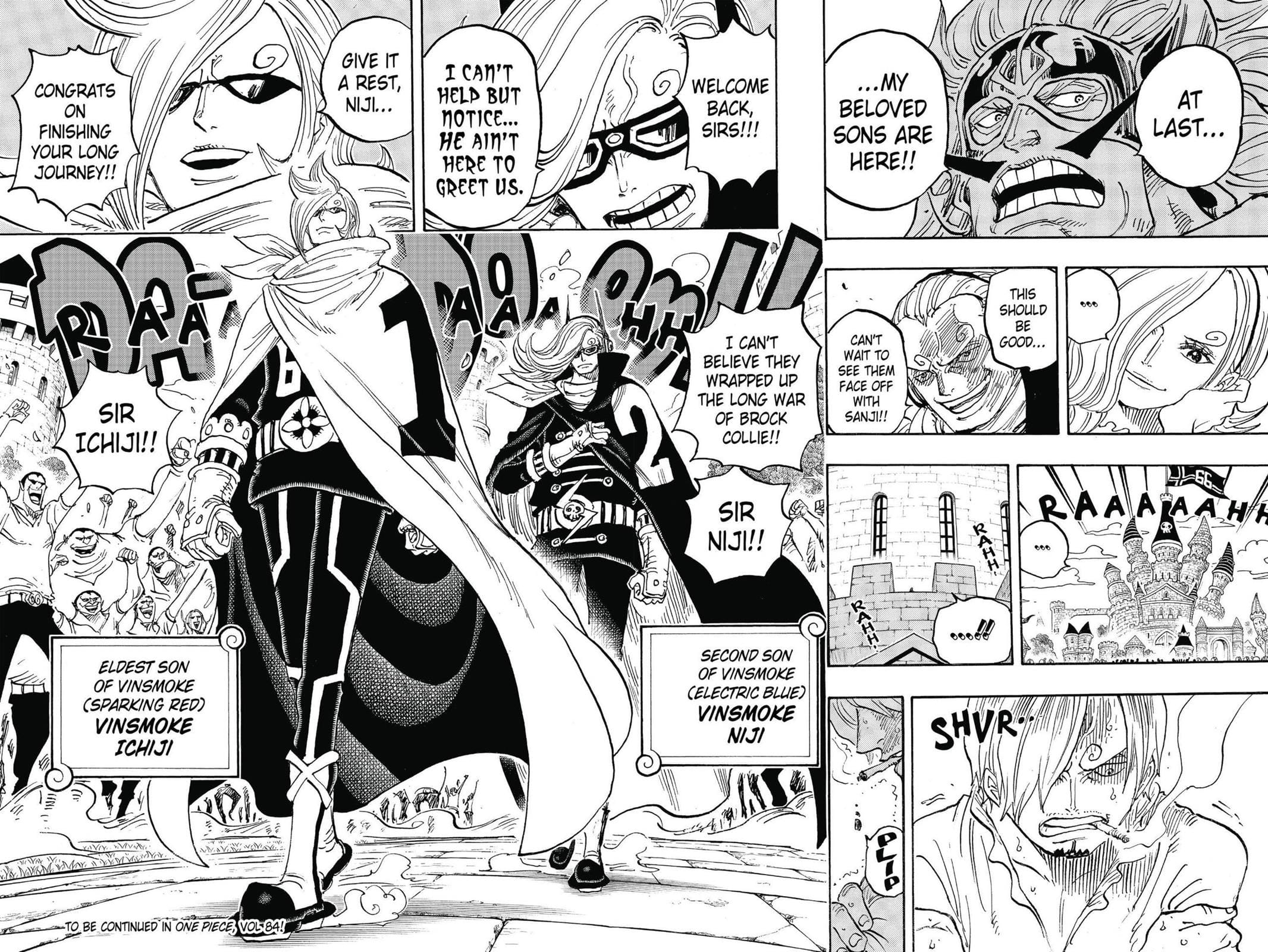 One Piece, Chapter 838 image 14
